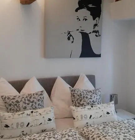 Hotel Junger Fuchs Salzbourg