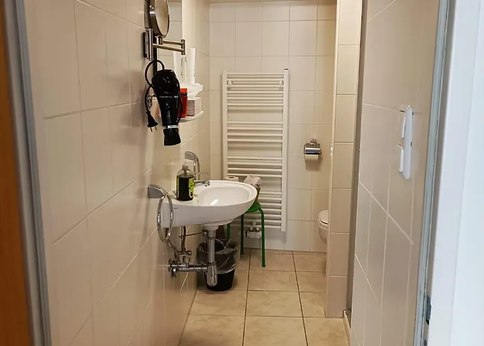 سيتيهوتيل يونغر فوكس *