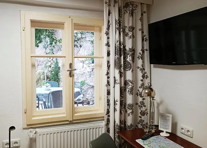 سيتيهوتيل يونغر فوكس