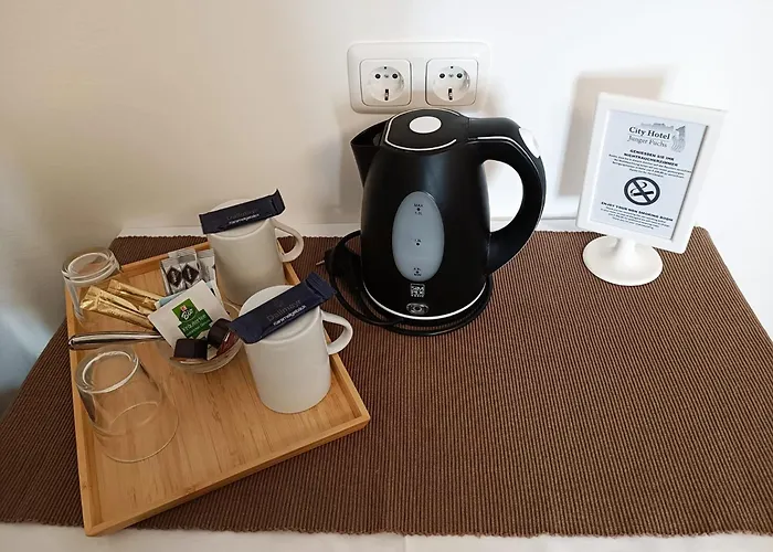 فندق سيتيهوتيل يونغر فوكس سالزبورغ